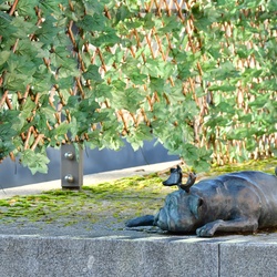 2026-01-08 Brandenburg an der Havel/Waldmöpse/DSC_2343.JPG
